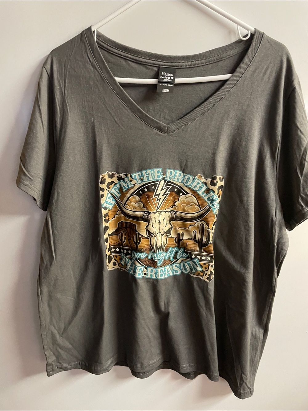 Hanes Men's Gray V-Neck Tee with Desert Skull Graphic and Teal Accents